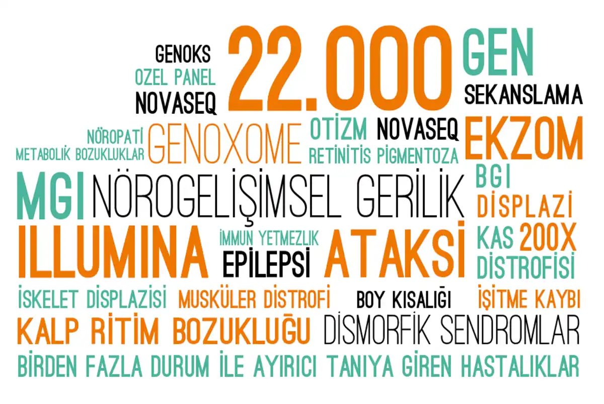 Genoxome Exome testi 22.000 genin Illumina ve MGI teknolojileriyle dizilenmesini sağlar.